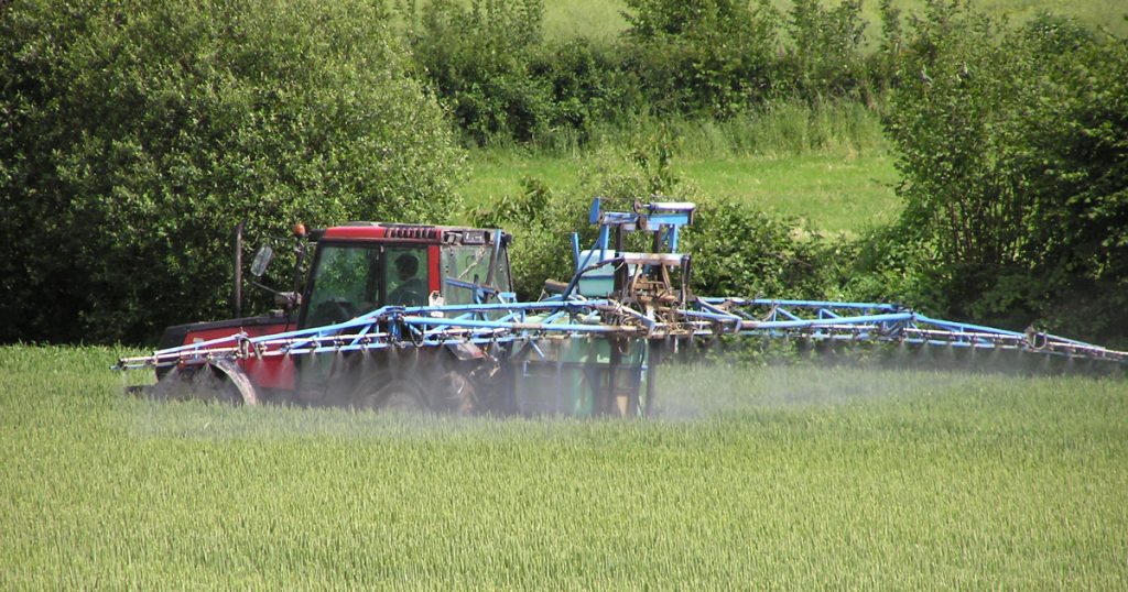Synthèse - Toute la biodiversité est impactée