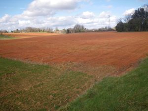 Champ traité aux herbicides